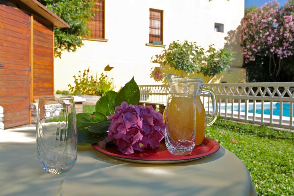 Hotel San Filis San Felice del Benaco Eksteriør bilde